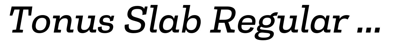 Tonus Slab Regular Italic